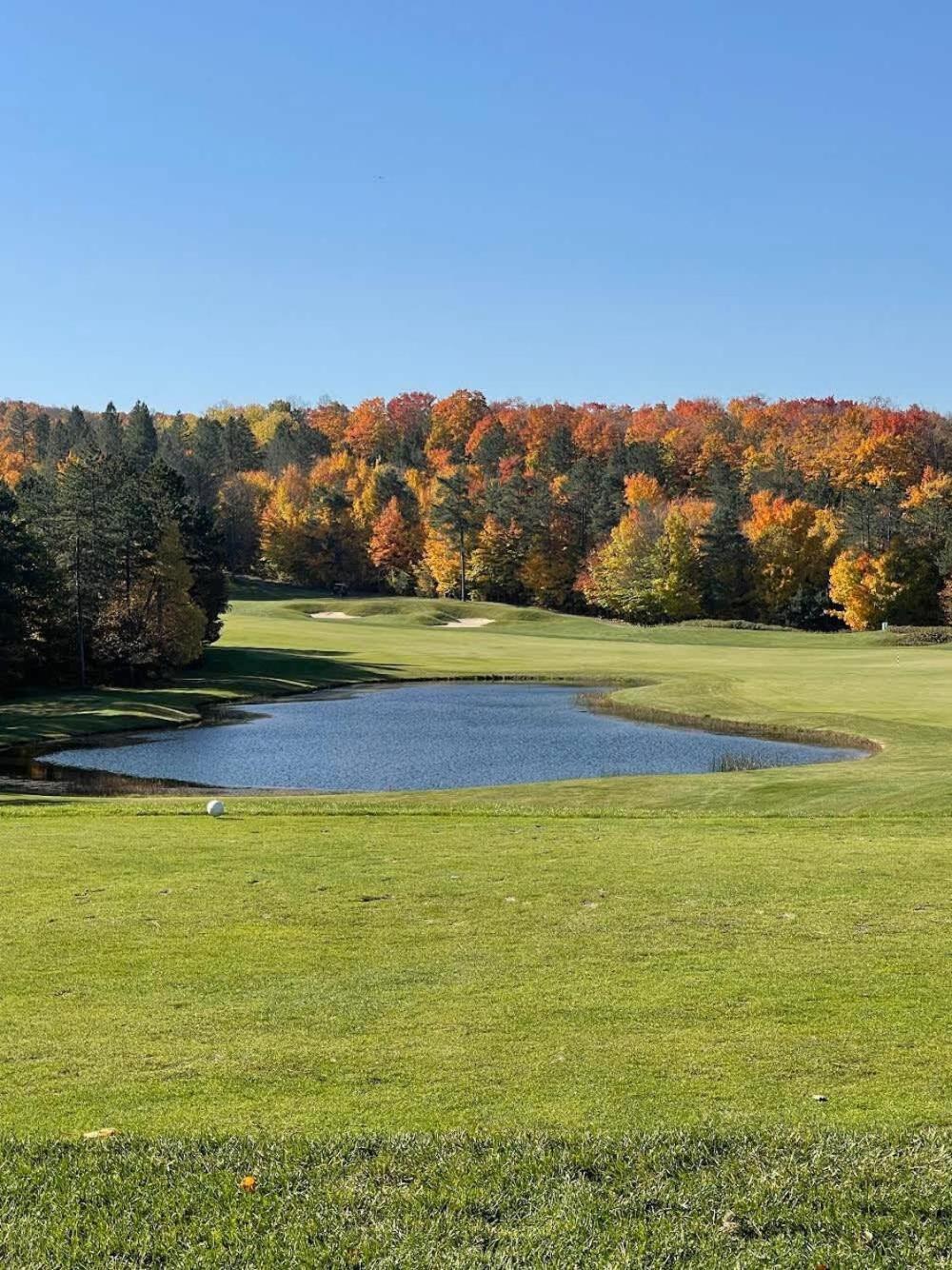Shanty Creek, Condo, Golf ,Sleeps 4, Pets Welcome! Bellaire Esterno foto